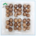 Inner Bag Packed Fermented Black Garlic Extract for Sale